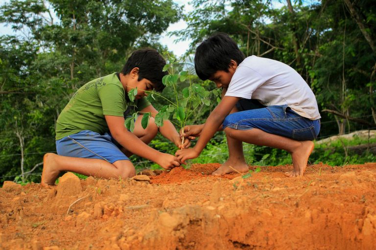 Two young boys planting a tree outdoors, promoting sustainability and nature conservation.