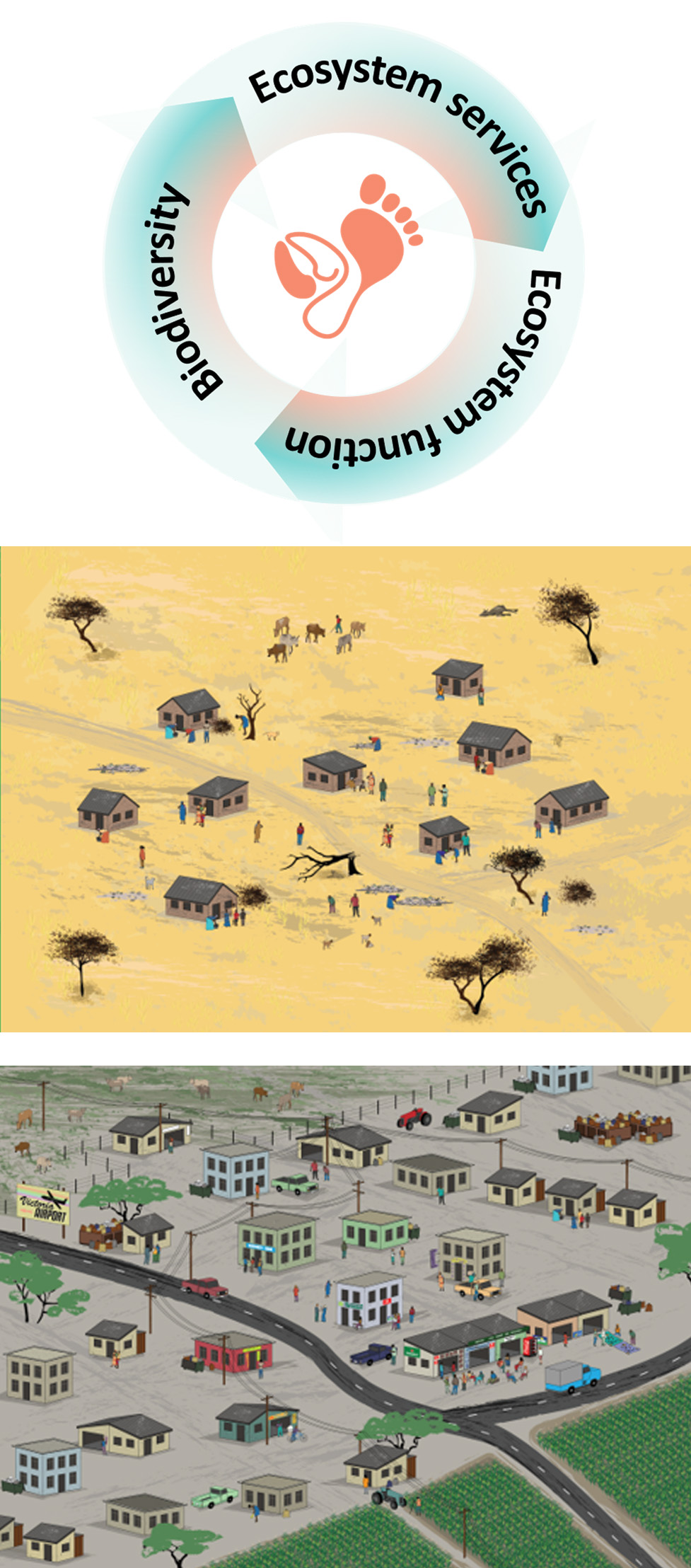 Collage with the Serengeti ServiceScape app